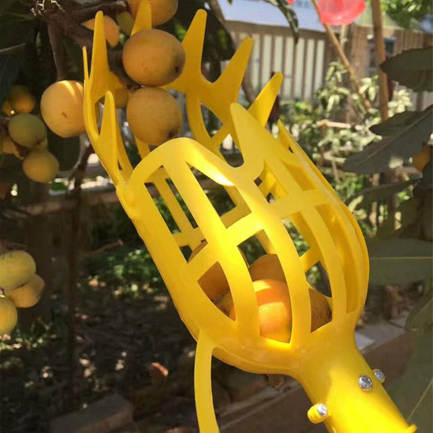 2pcs Fruit Picker Tool(head Only Pole Not Included) for Getting Fruit