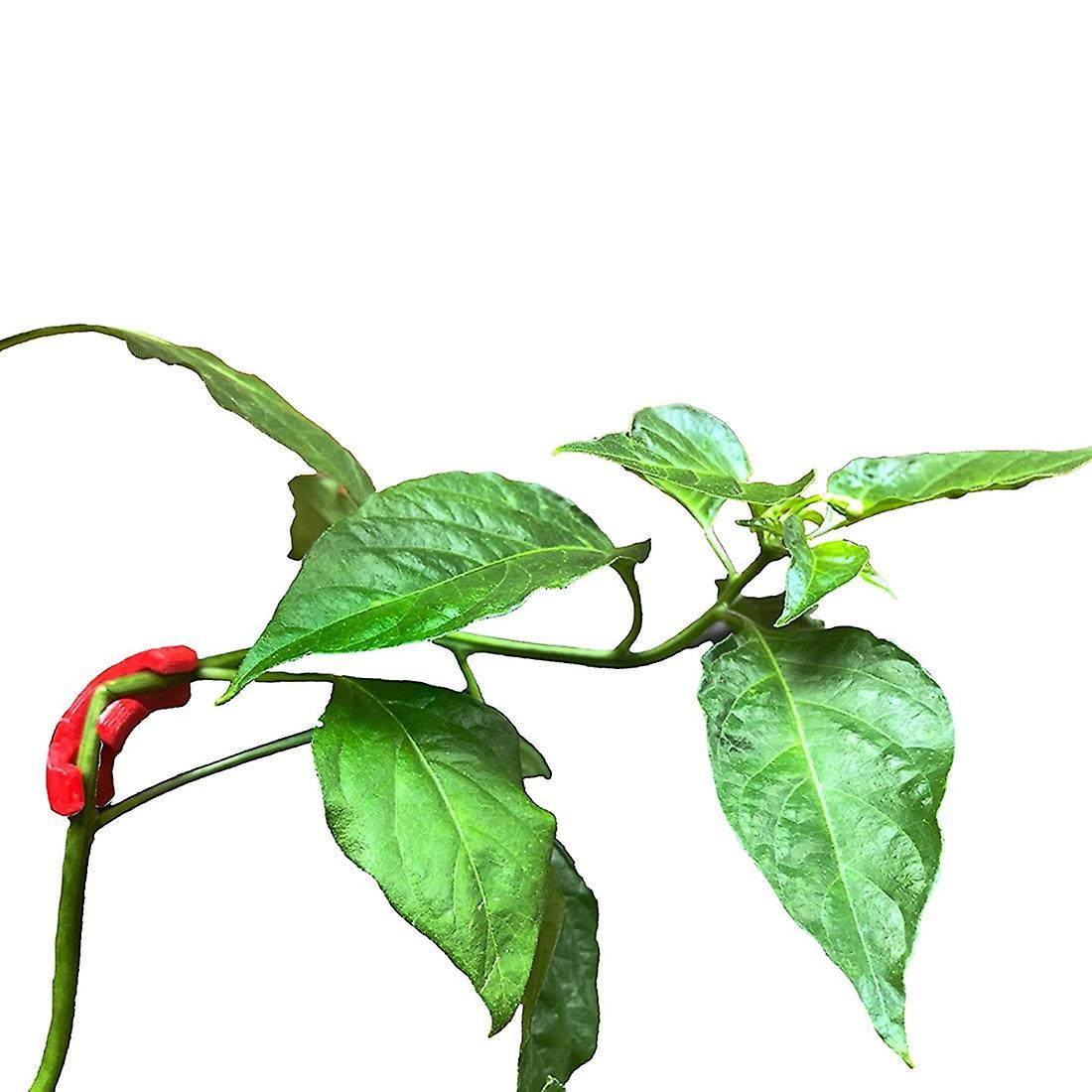 Hmg 90 Degree Plant Bender (35 Pack) for Low Stress Training (lst)