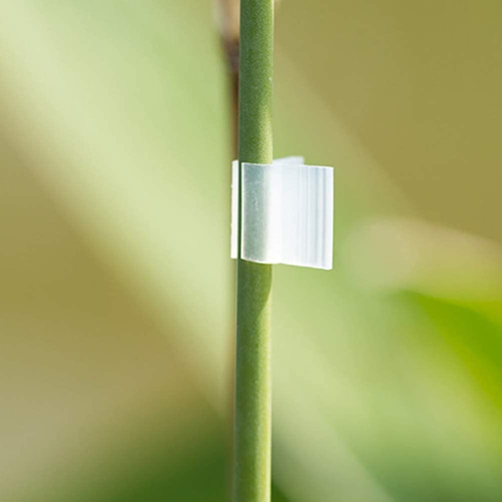 200pcs Caliber Plant Grafting Support Clips for Vine Beans 3mm