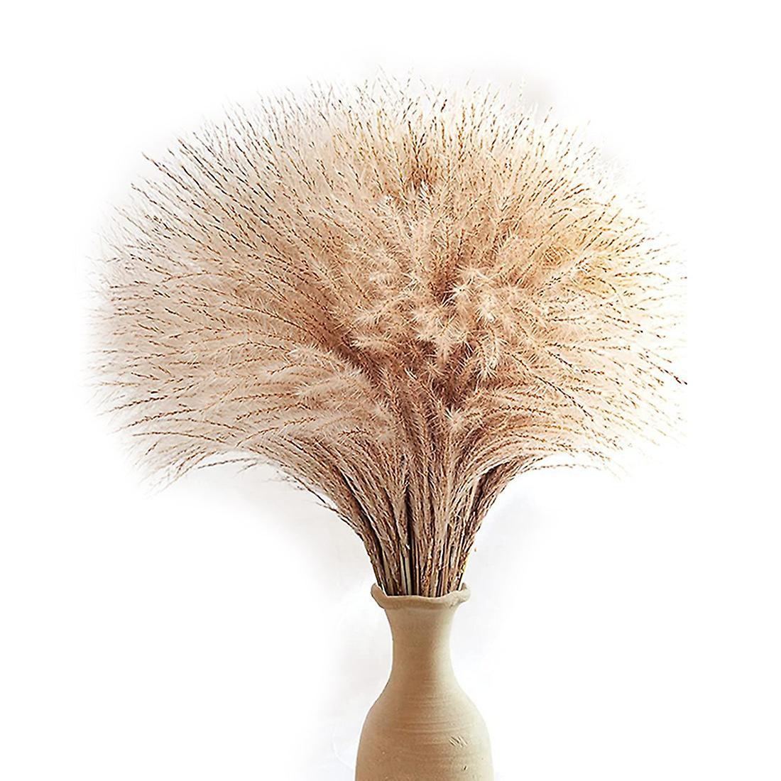 60pcs Pampas Grass, Fluffy Pampas Grass Decor.manually Selected Dried