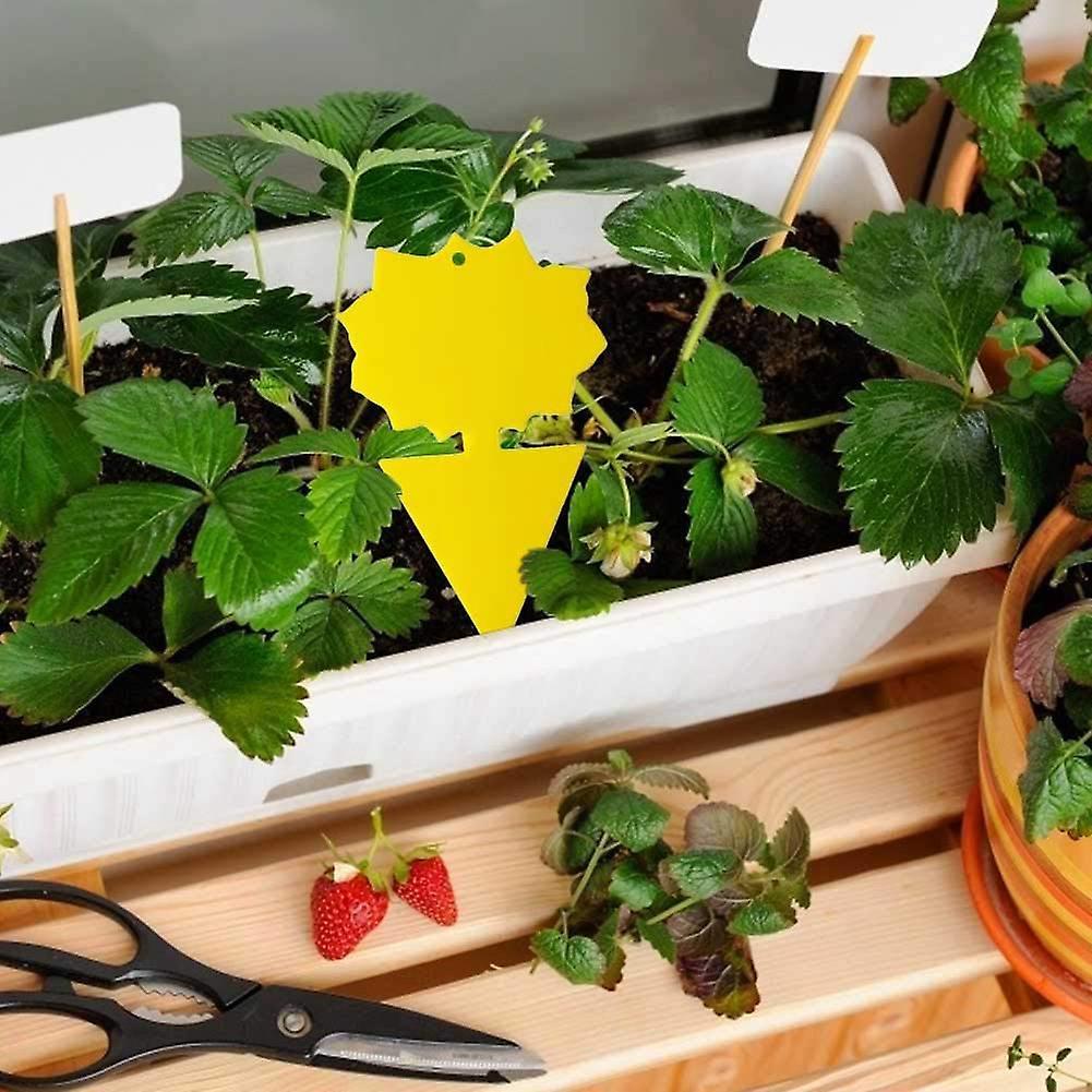 20pcs Sticky Trap,fruit Fly and Gnat Trap Yellow Sticky Bug Traps