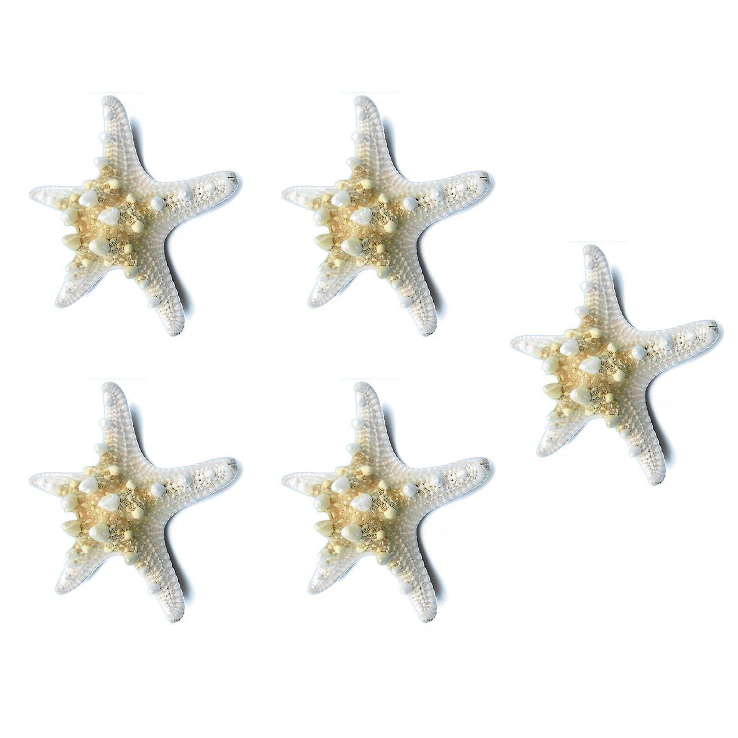 5pcs/lots Crafts White Bread Sea Shell Starfish, Fashion Handicrafts