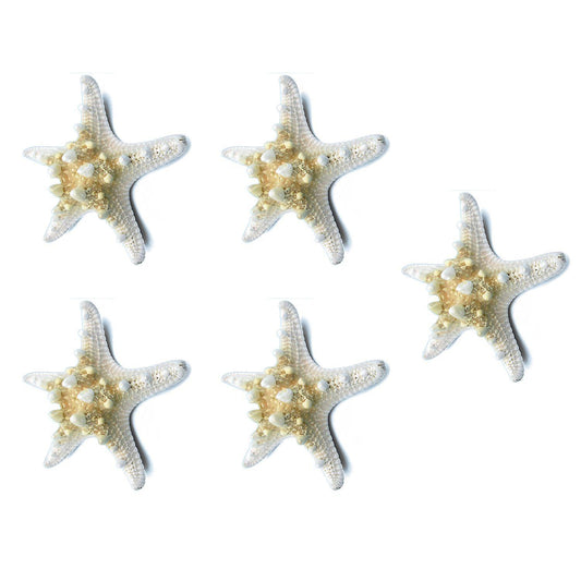 5pcs/lots Crafts White Bread Sea Shell Starfish, Fashion Handicrafts