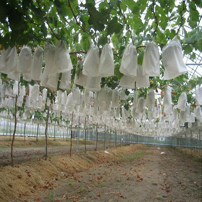 100pcs Garden Plant Fruit Cover Protect Net Mesh Bag Against Insect
