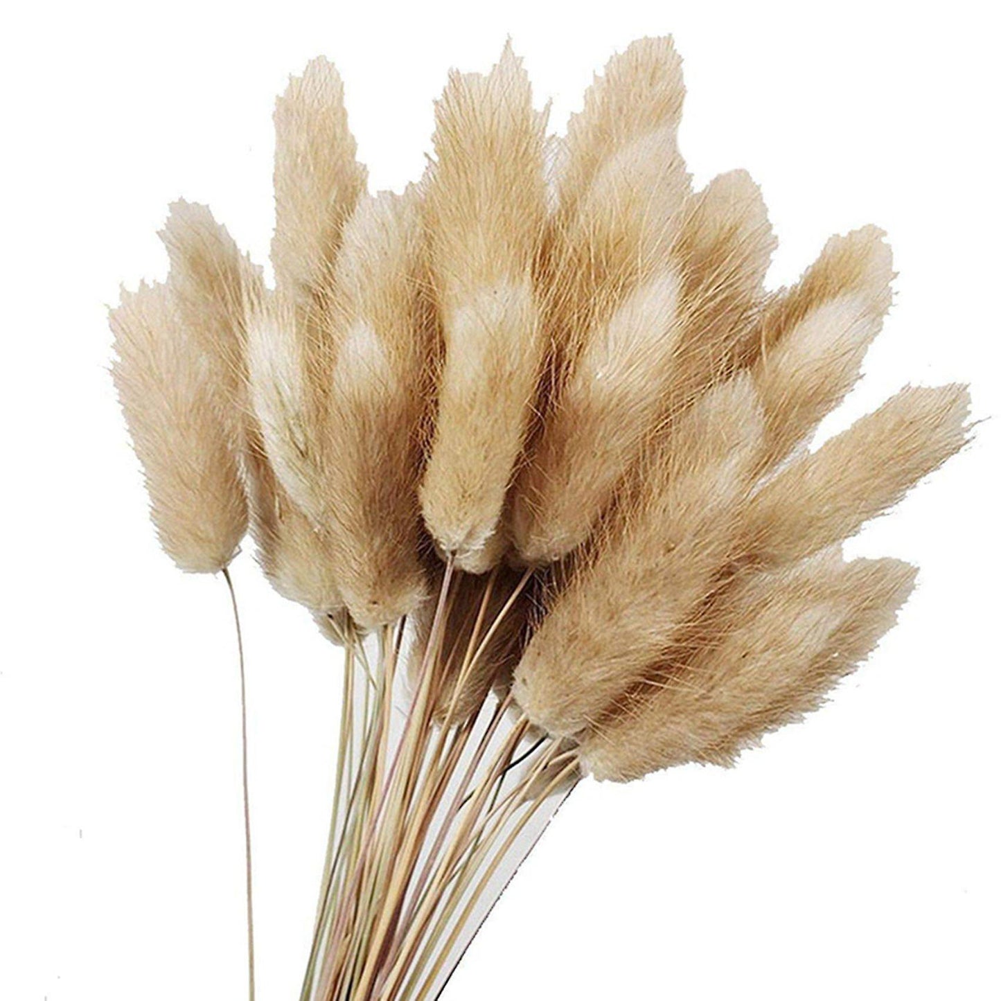 50pcs Natural Raw Color Dried Flowers Real Flower Bouquet