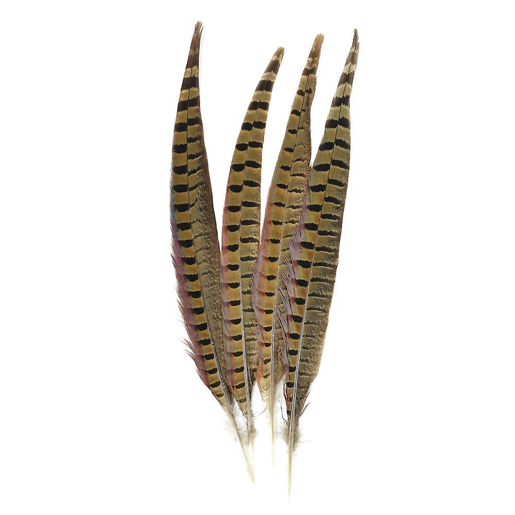 Contact Of Nature Ringneck Pheasant Feathers 4/pcs, Natural