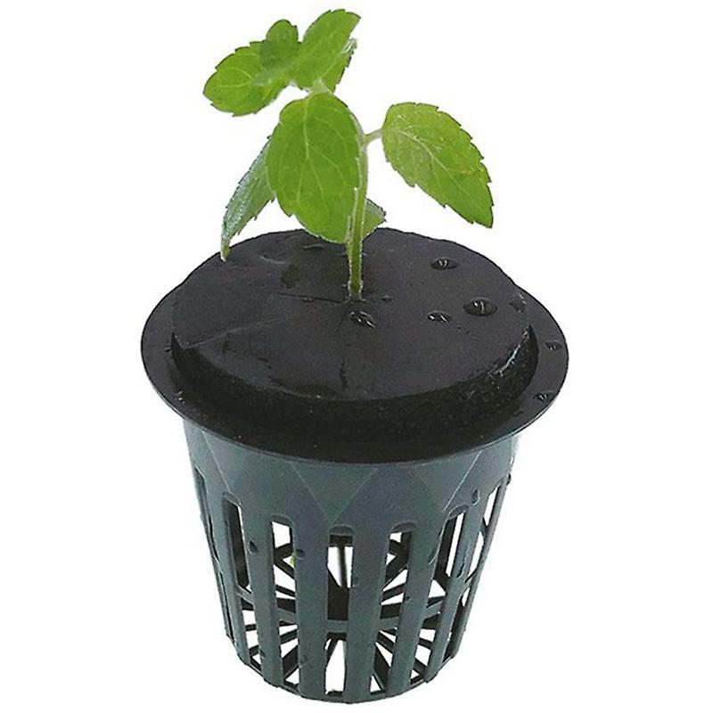 60pcs Garden Clone Collars Sponge Block for 2 Inch Cloning Machines