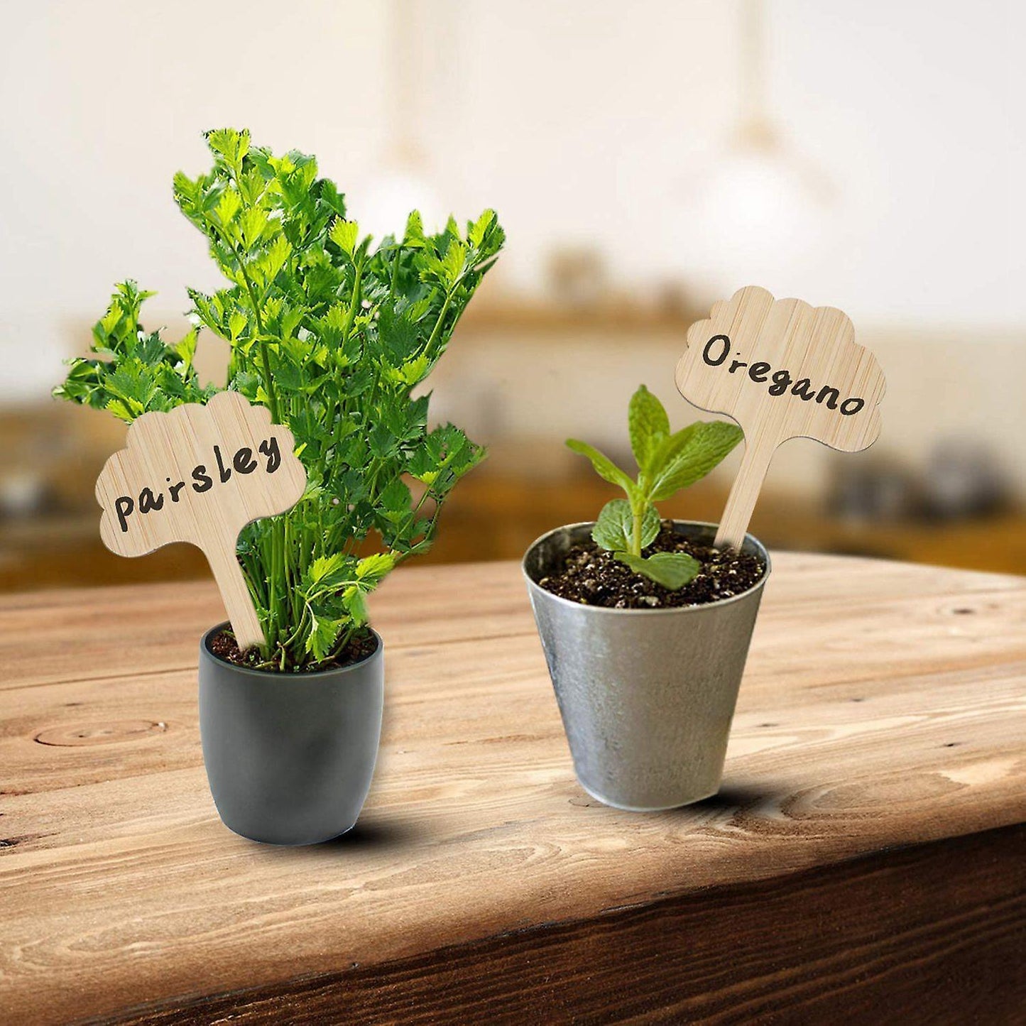 60pcs Bamboo Plant Label, 3 Kinds Of Plant Label Label