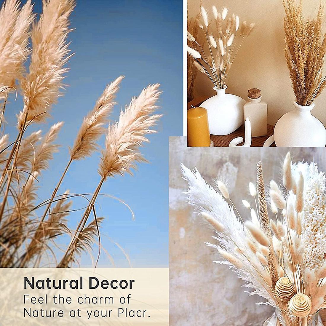 Pampas Grass Dried 46 Piece Set Dried Flowers, Pampas Grass