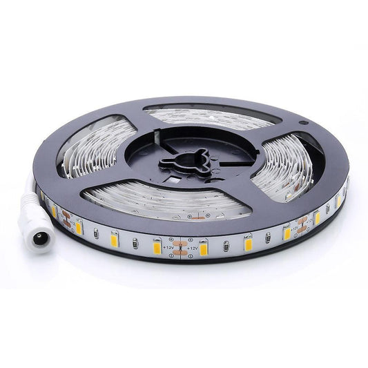 Leds Ip20 Non-waterproof Warm White(2800-3000k) Led Strip Ribbon