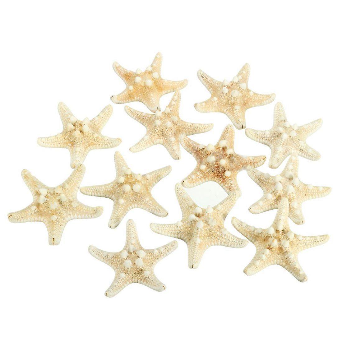 5pcs/lots Crafts White Bread Sea Shell Starfish, Fashion Handicrafts