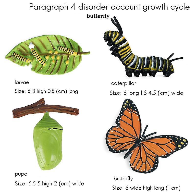 Simulation Life Cycle Of A Monarch Butterfly Growth Cycle Insect Toy