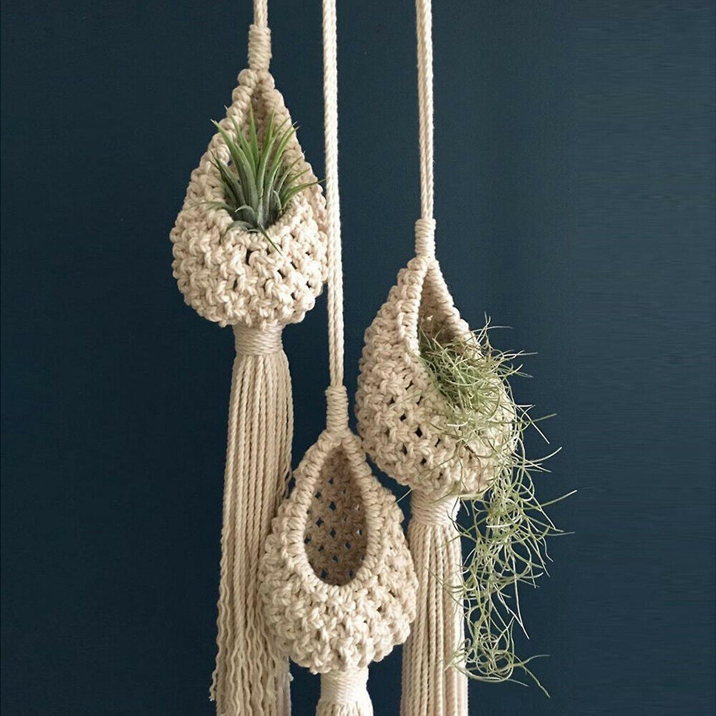 Tillandsia Hanging Basket Rope Holder Flower Home Decor (13cm)