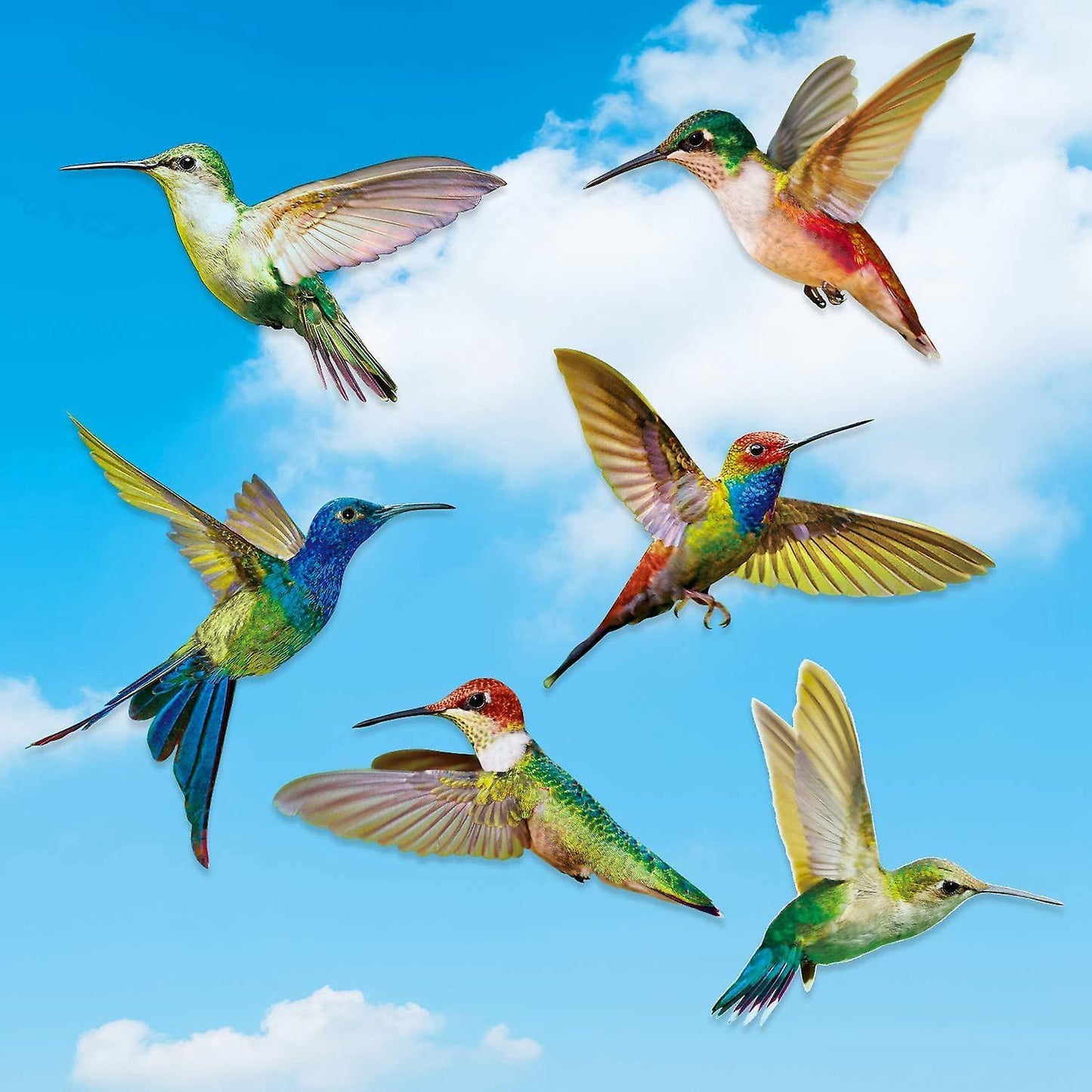 6 Pcs Large Size Bird Clings Anti-collision Window Clings