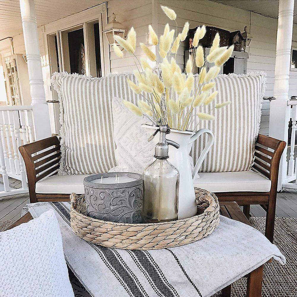 50pcs Rabbit's Tail Grass,17inch Dried Pampas Grass for Home (white)