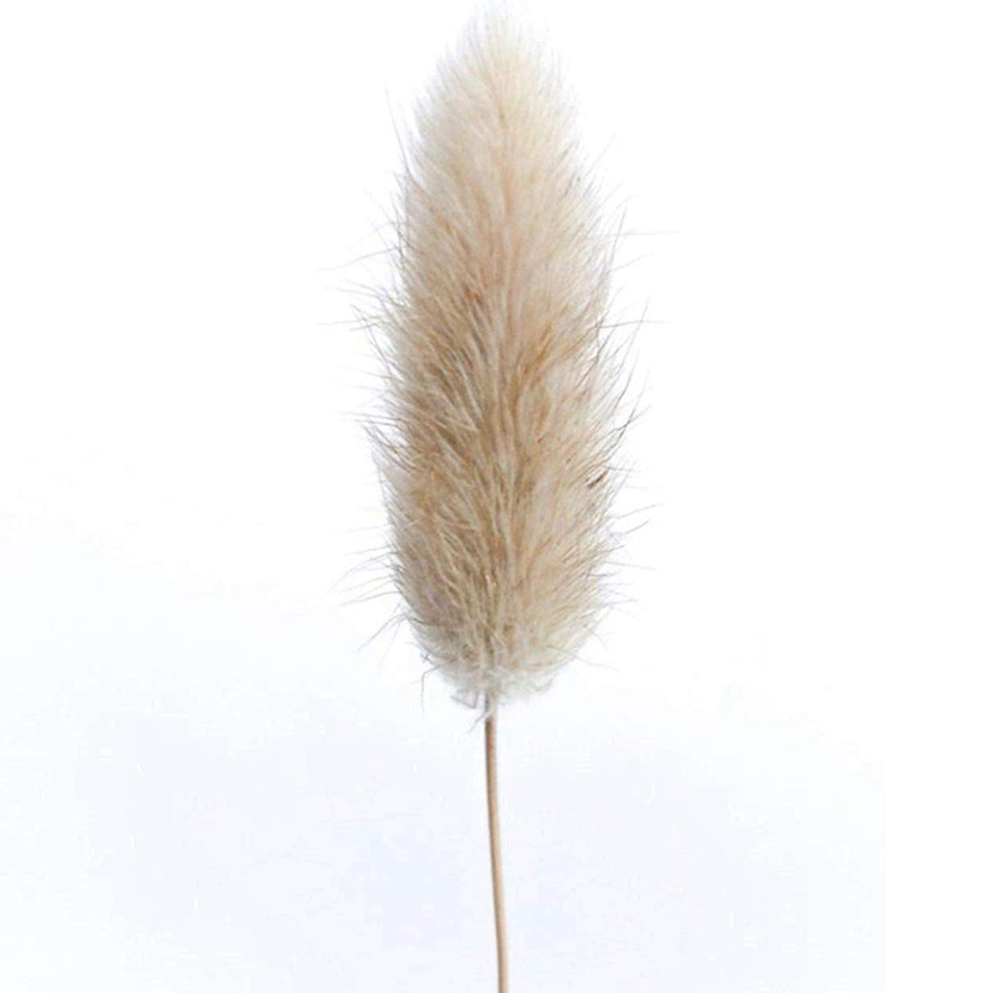 50pcs Natural Raw Color Dried Flowers Real Flower Bouquet