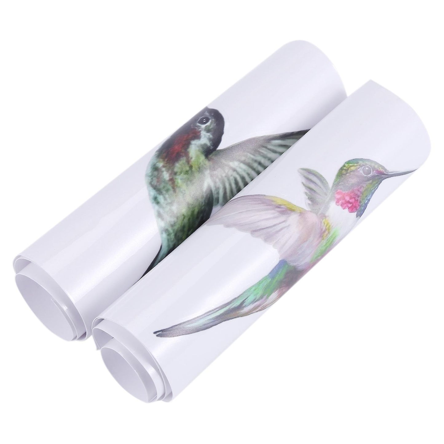 8 Large Beautiful Humming Bird Static Cling Window Stickers