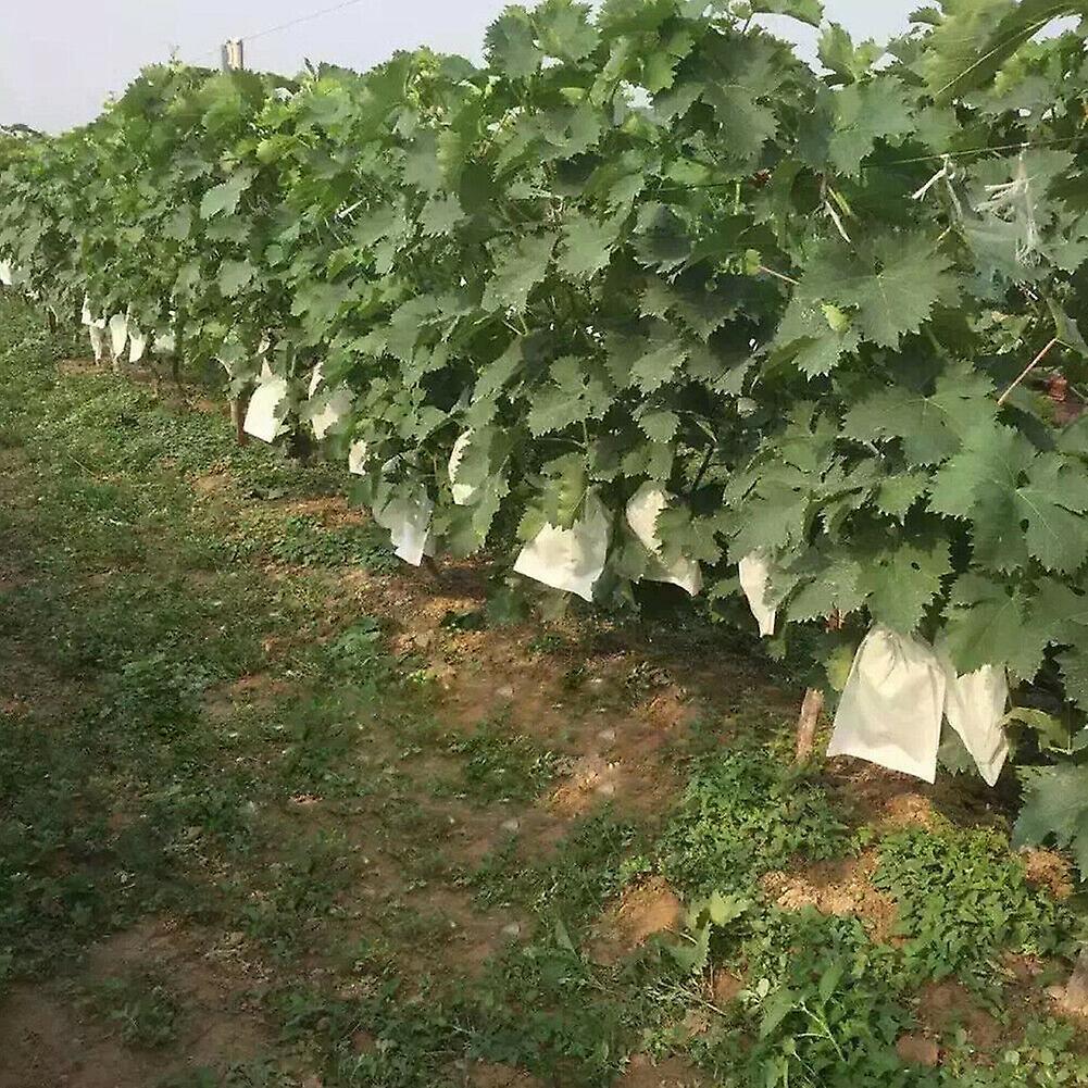 100pcs Garden Plant Fruit Cover Protect Net Mesh Bag Against Insect
