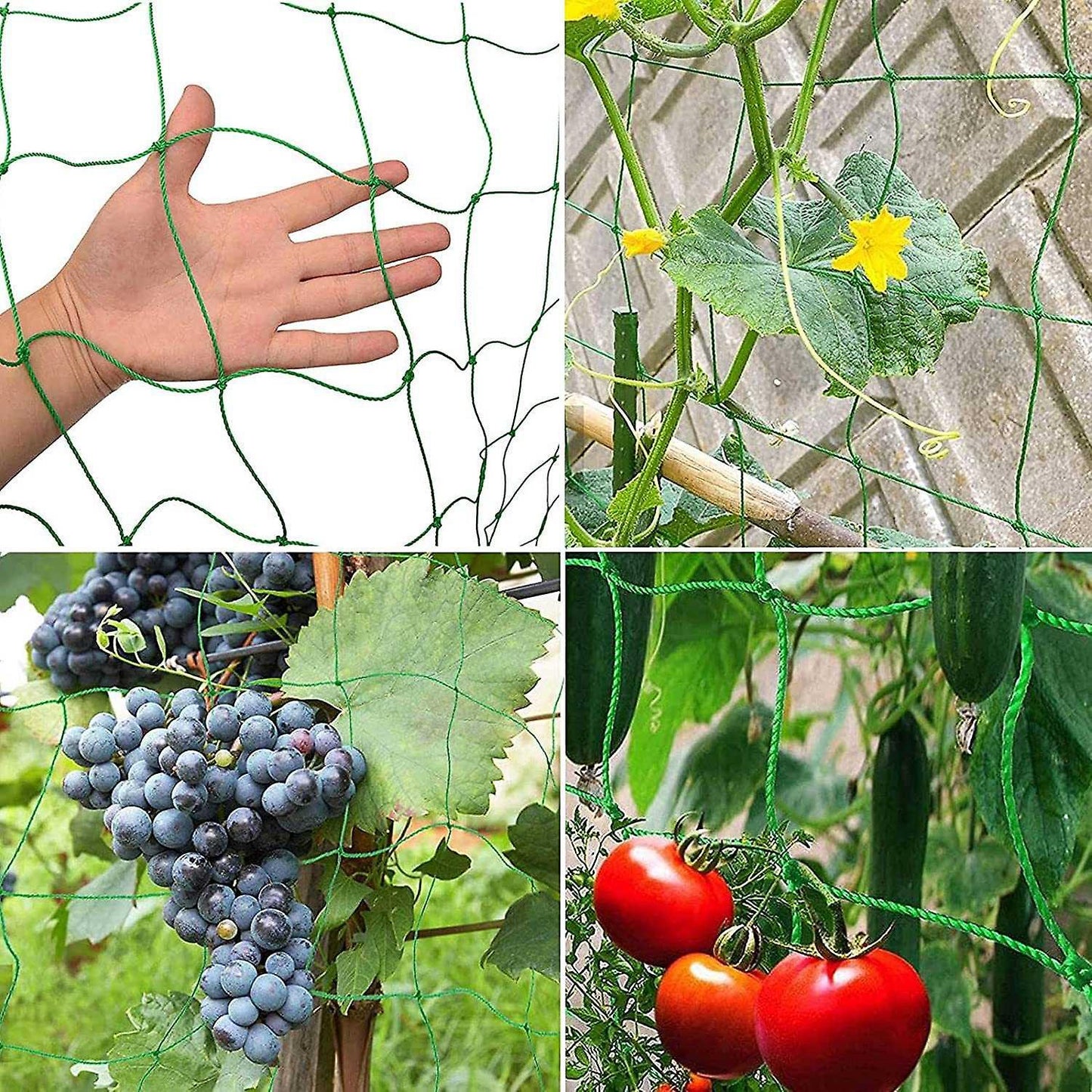 Trellis Net , Perfect for Growing Cucumbers, Tomatoes 2x5m