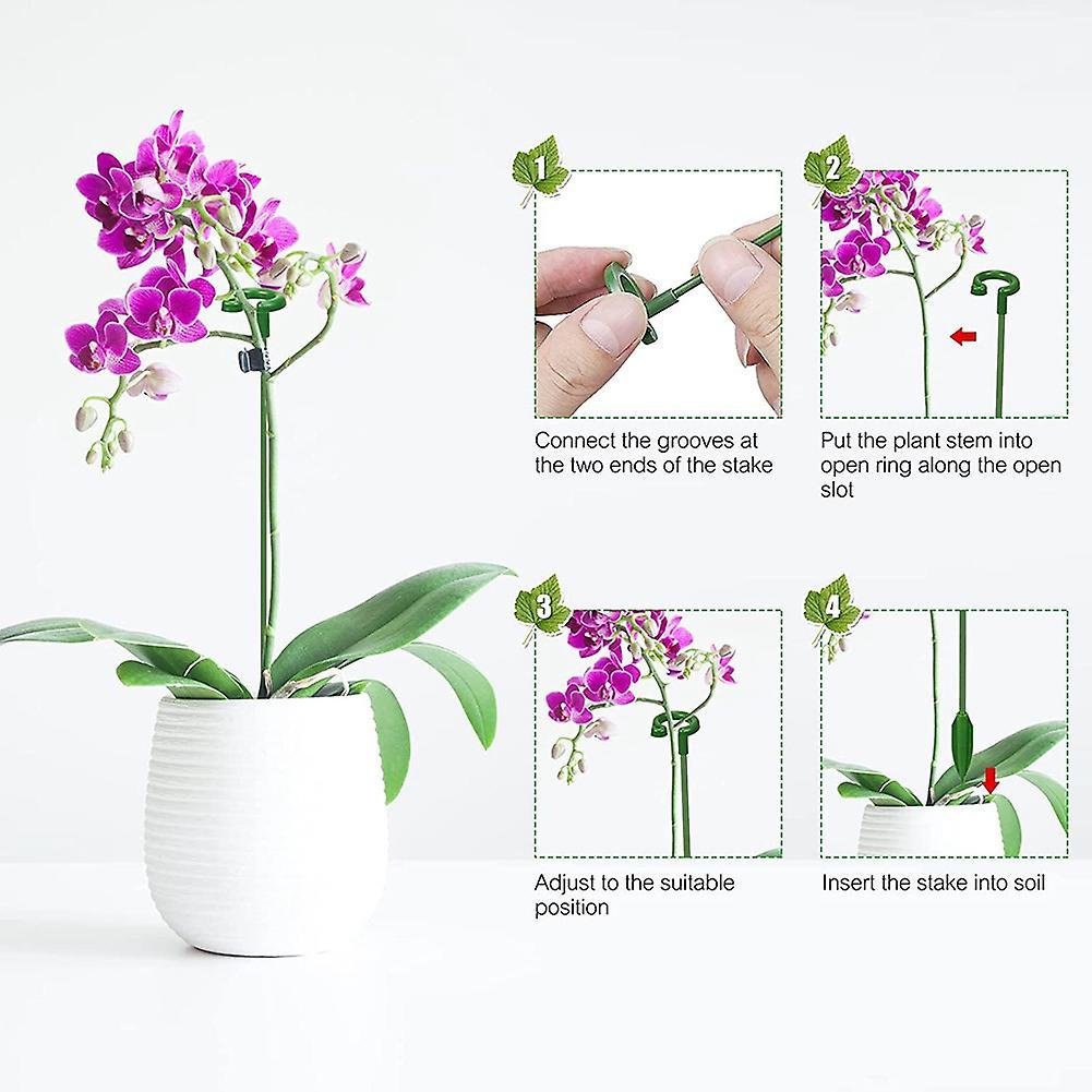 60pcs Plant Supports Set-20 Pack Flower Plant Stakes Sticks (3 Sizes)