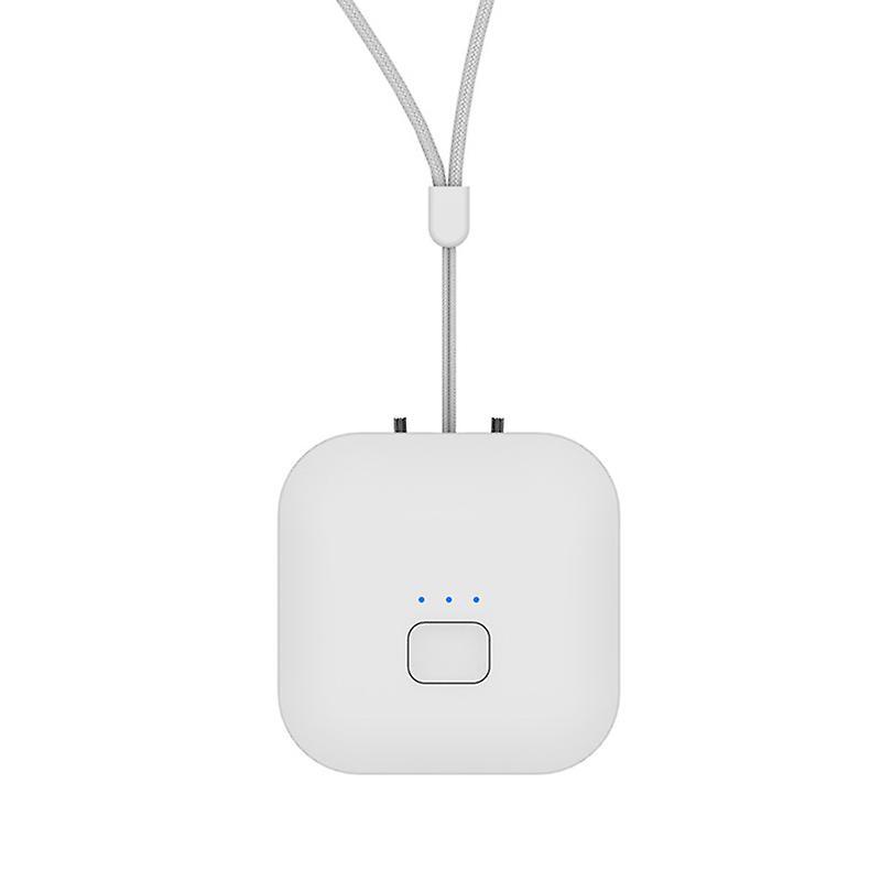 10 Million Negative Ion Purifier Car Hanging Neck Purifier White