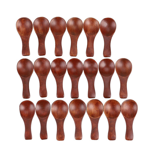 20pcs Mini Wooden Spoon Seasoning Spoon Xylose Tea Cooking Tools