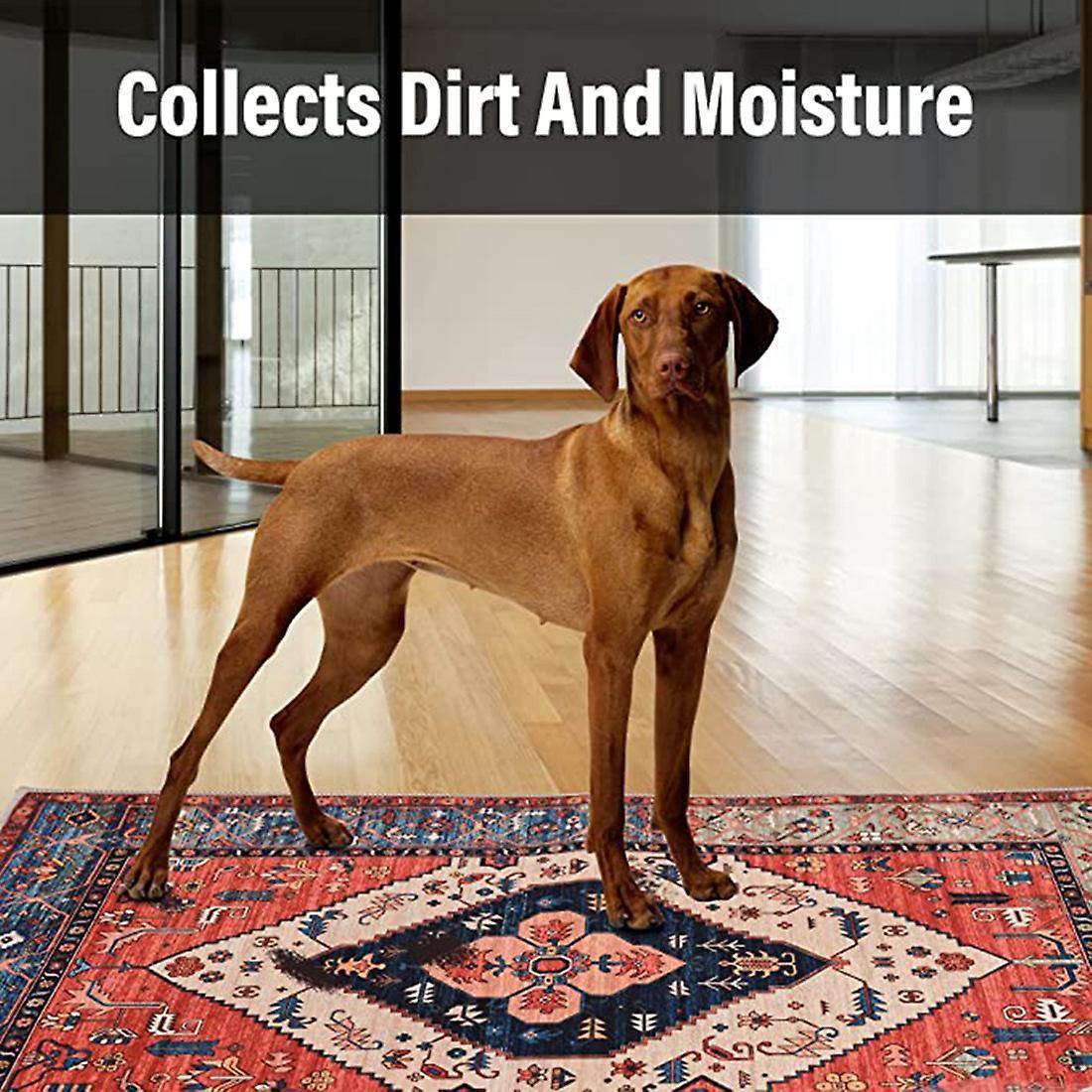 Indoor Door Mat Retro Indoor Floor Mat, Non Slip Dust Dirt Resist