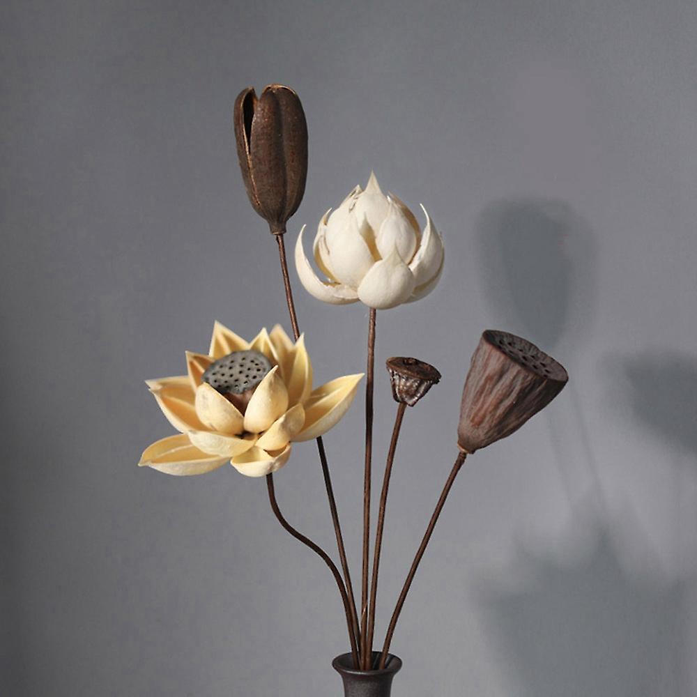 2 Pcs Real Natural Dried Pressed Lotus Flower,decorative Handmade