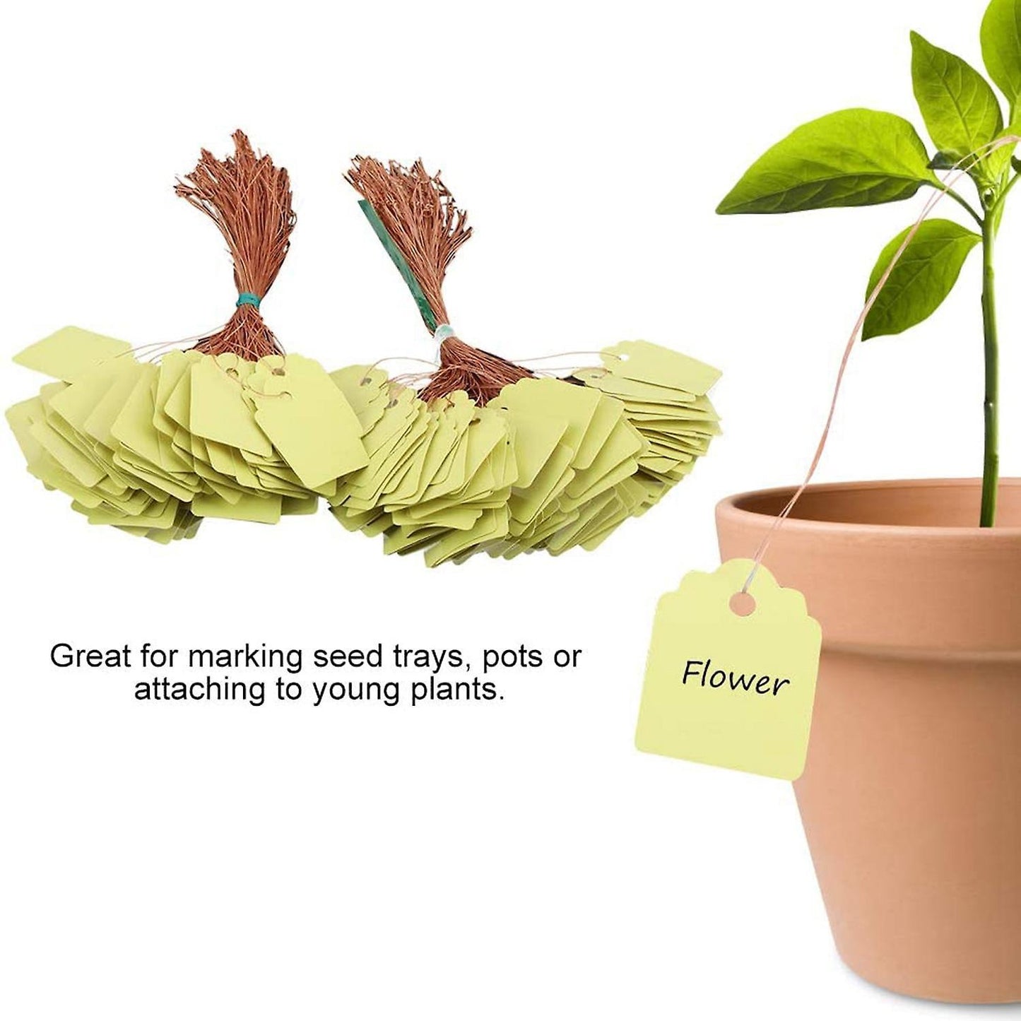 200pcs Plant Hanging Tag Waterproof Plastic Labels Reusable