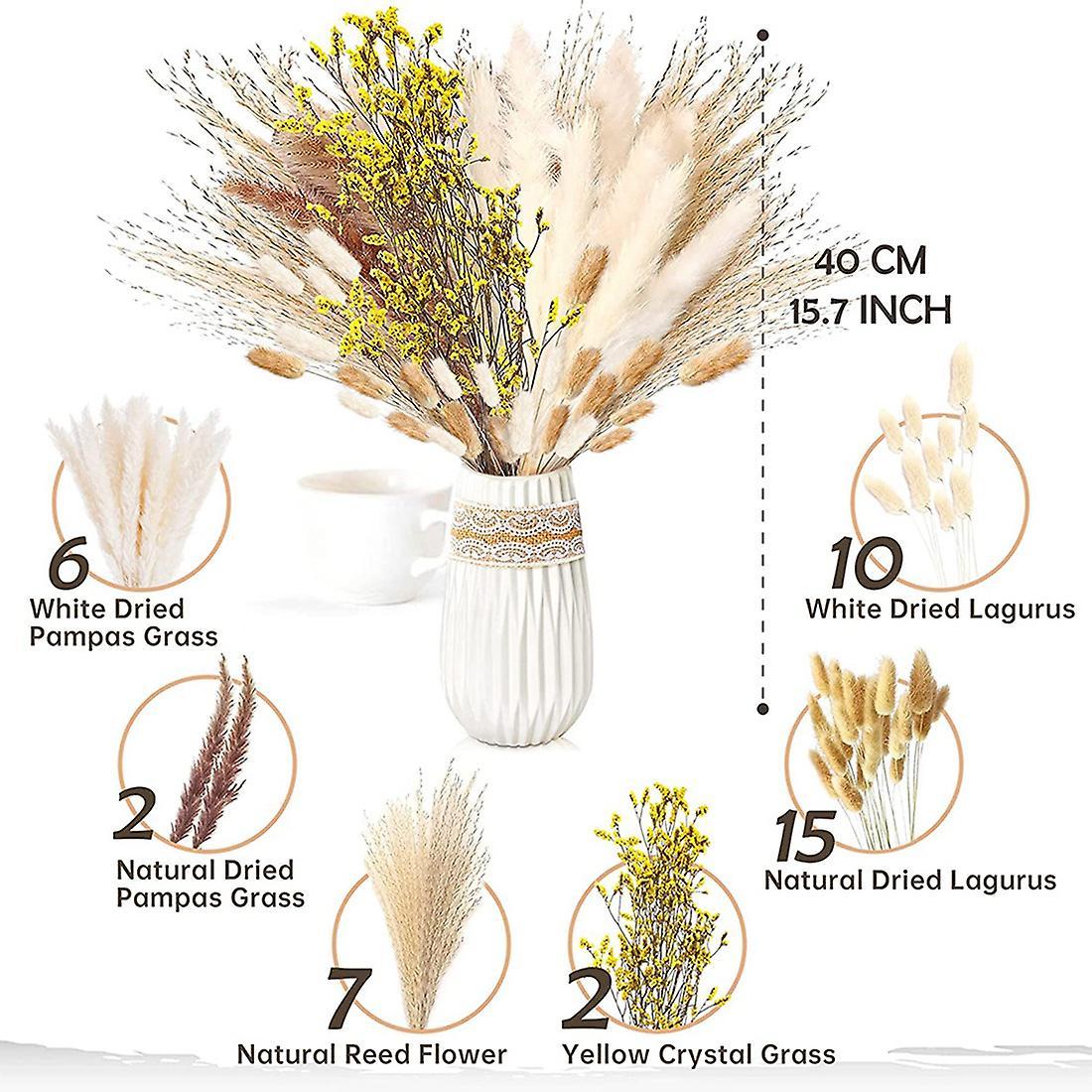 Pampas Grass Dried 46 Piece Set Dried Flowers, Pampas Grass