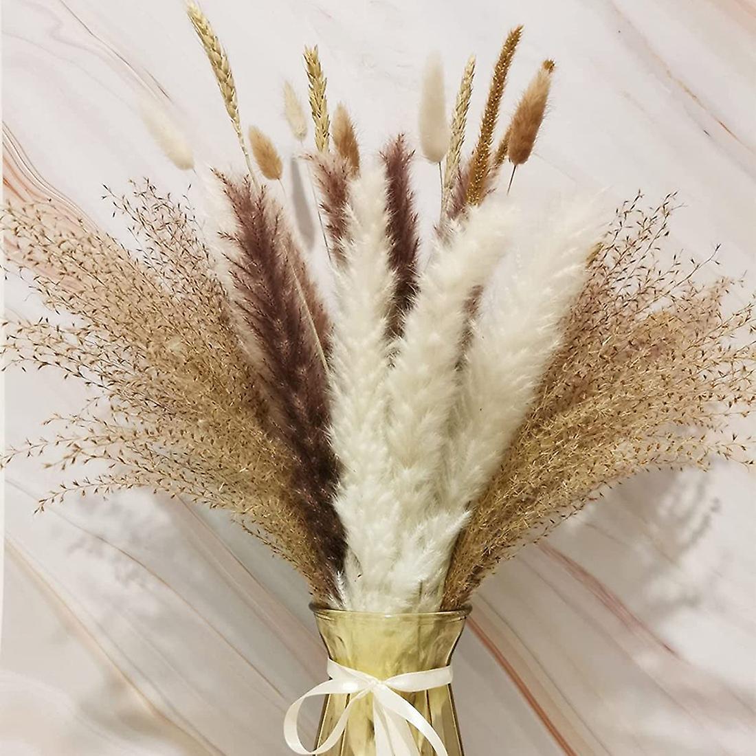 40pcs 17 Inch Pampas Grass Natural Dried Pampas Grass Decor