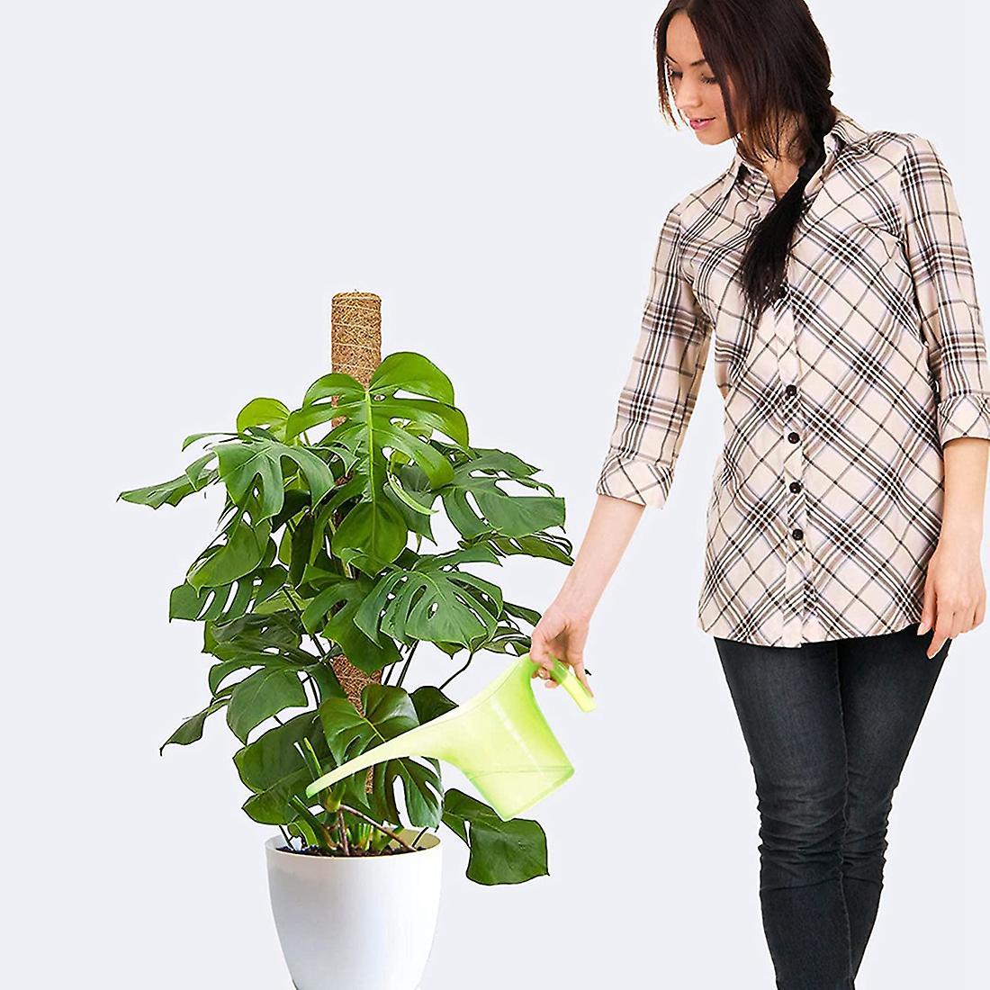 2 Moss Poles with 100 Reusable Twist Ties-suitable for Plants