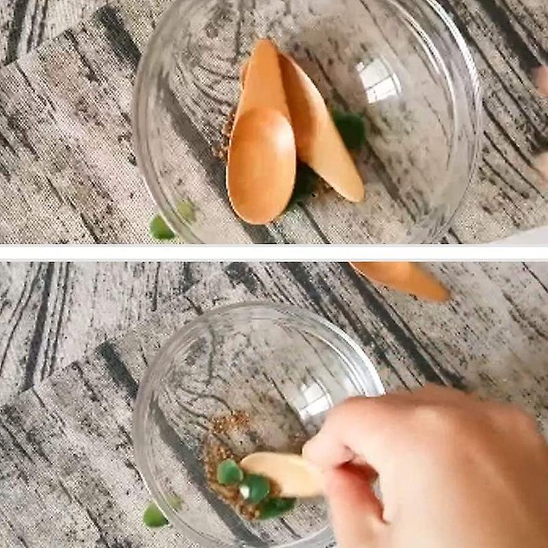 5 Pieces Mini Wooden Spoon,for Coffee Tea Leaves Spice Candy,etc