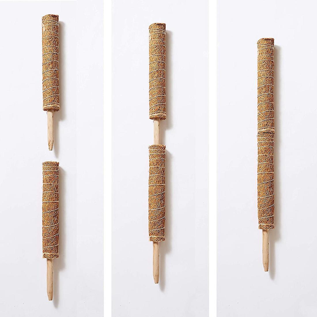 2 Coconut Palm Sticks-support The Forward Growth Of Indoor Plants