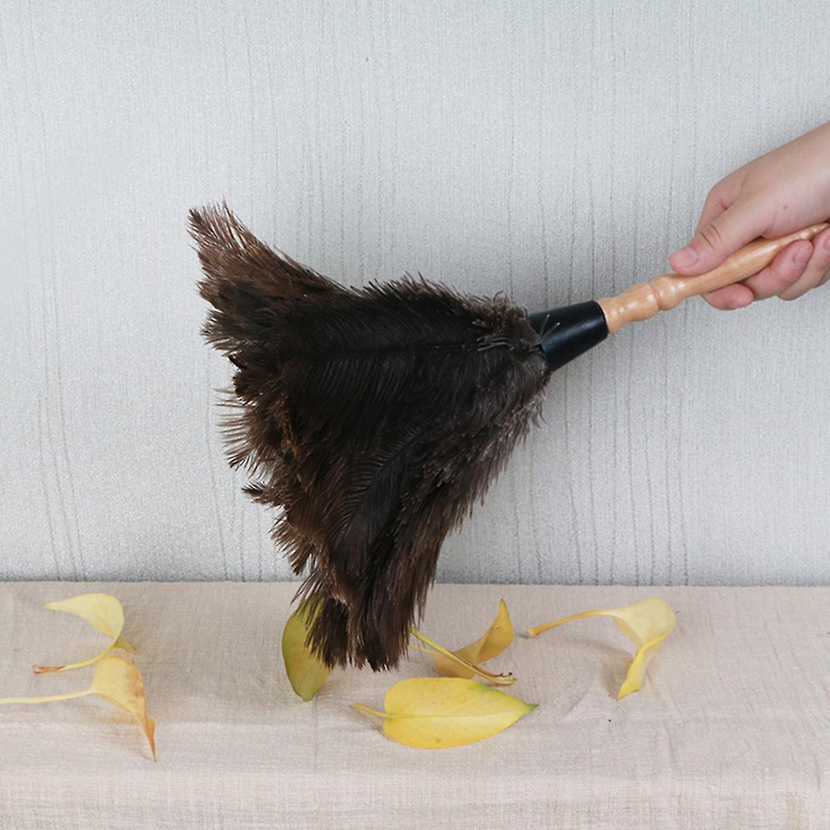 Retractable Feather Duster for Ostrich Household Car Cleaning Small