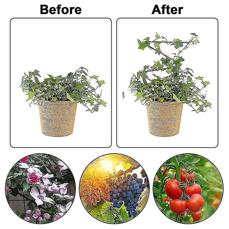 2pc Rust-proof Metal Support Line for Garden Potted Climbing Stems-a